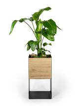 Doniczka z korpusem perforowanym KNK-01-ML